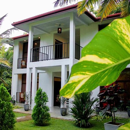 Manike Lodge 哈伯勒内 外观 照片