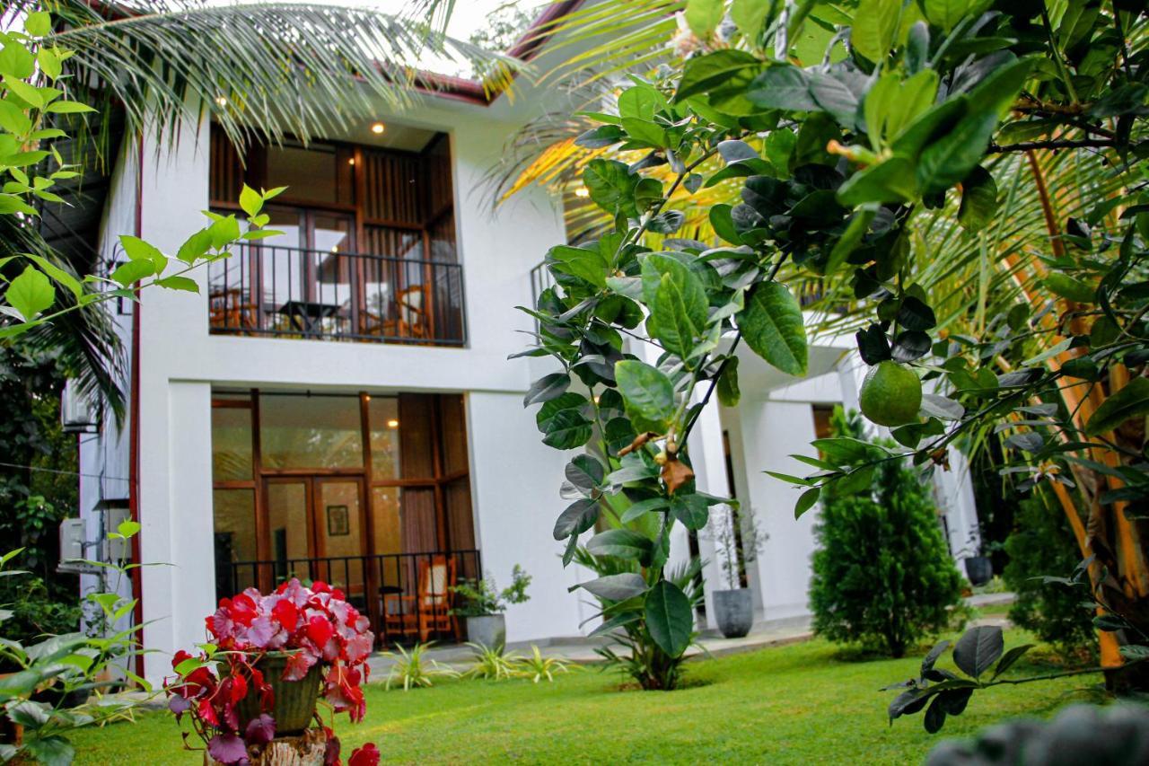 Manike Lodge 哈伯勒内 外观 照片