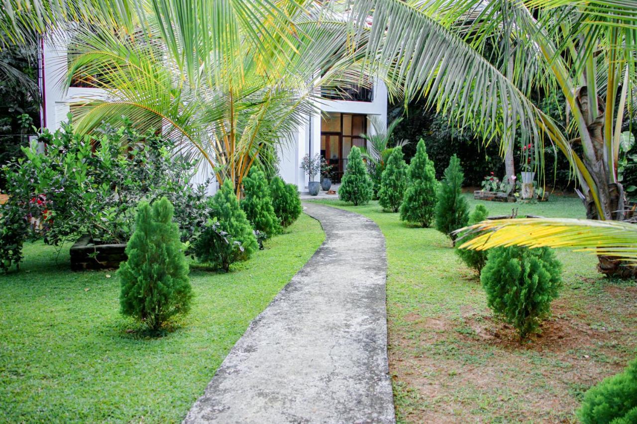 Manike Lodge 哈伯勒内 外观 照片